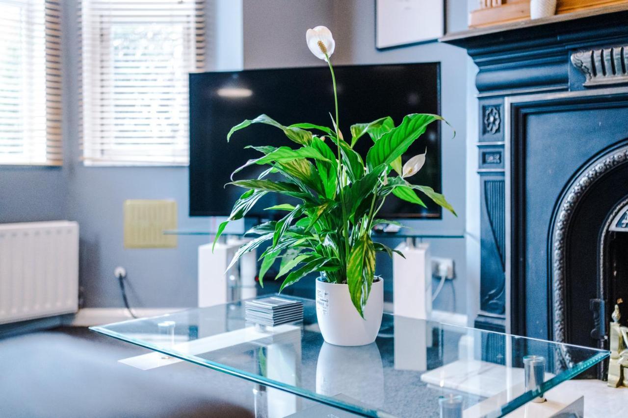 Spacious Modern Chester Home - Great Location Eksteriør bilde